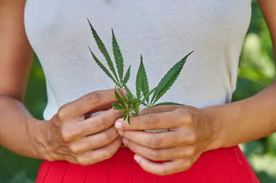 woman holding cannabis leaf