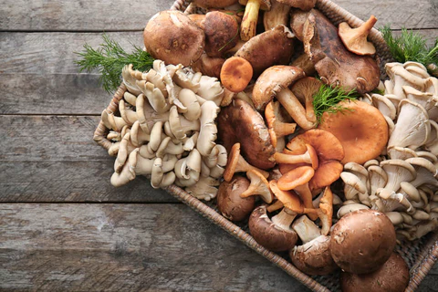 list of functional mushrooms