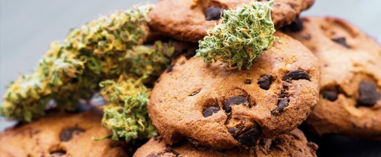 How THC Makes Your Hungry / National Chocolate Chip Cookie Day