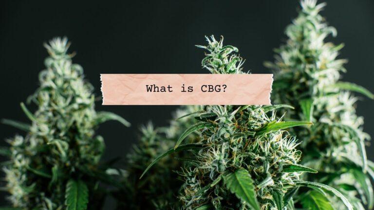 What is CBG?