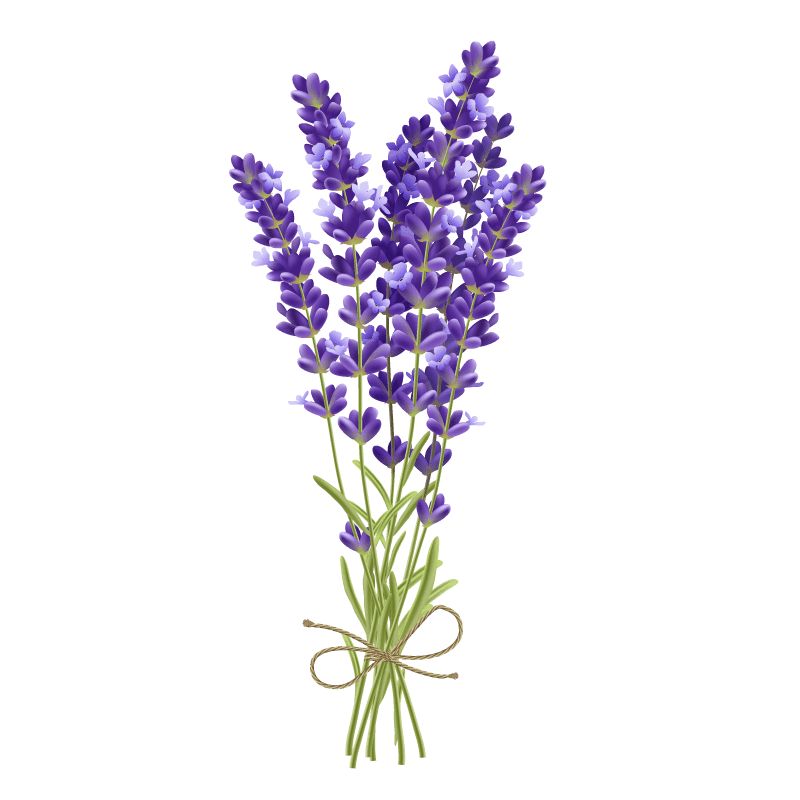 lavender flower as a smokable herb