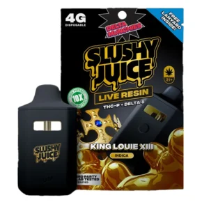 4G Disposable Vape King Louis Slushy Juice