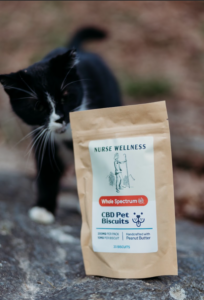 A black and white cat near a bag of Nurse Wellness CBD Pet Biscuits on a rocky surface.