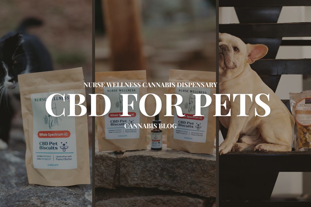 CBD for pets