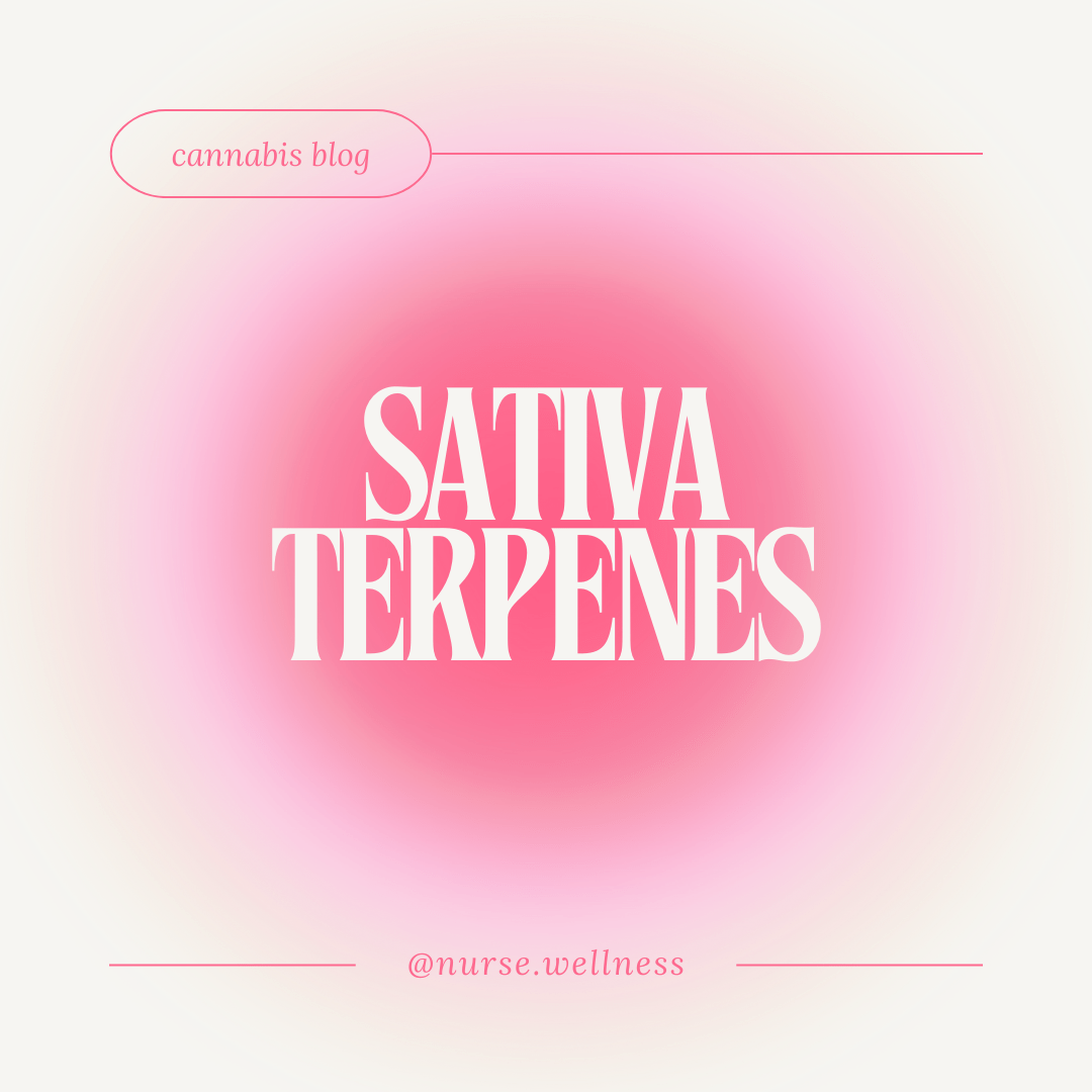Sativa Terpenes article banner