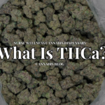 THCa Take Over: Transforming the Cannabis Experience