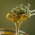 From Dank to Dabs: THC Flower vs. Concentrates Debate