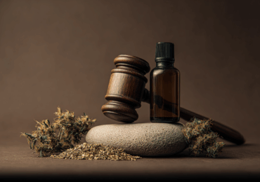 What the 2026 Hemp Ban Means for You