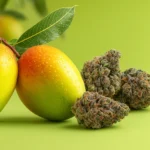 Exploring Myrcene for Pain and Inflammation Support