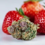 Strawberry Cough: Strain Effects, Terpenes, and Daytime Benefits