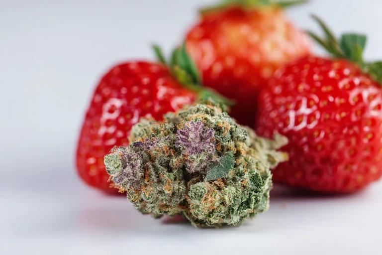 Strawberry Cough: Strain Effects, Terpenes, and Daytime Benefits