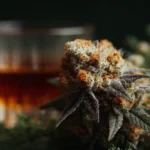 Does Cannabis Make People Drink Less? Evidence From Recent Studies