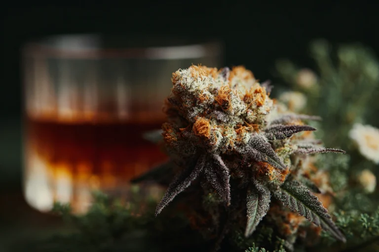 Does Cannabis Make People Drink Less? Evidence From Recent Studies
