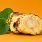 Noble vs Tudei Kava: Key Differences Explained