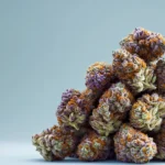 What THC Percentage Means and Why It Matters