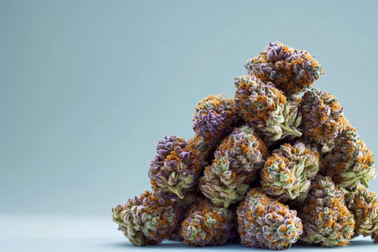 What THC Percentage Means and Why It Matters