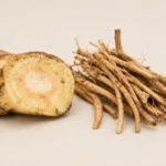 Kava vs Ashwagandha: Which Is Better for Stress?