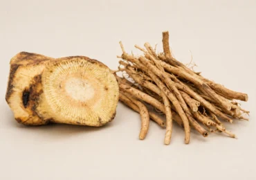 Kava vs Ashwagandha: Which Is Better for Stress?
