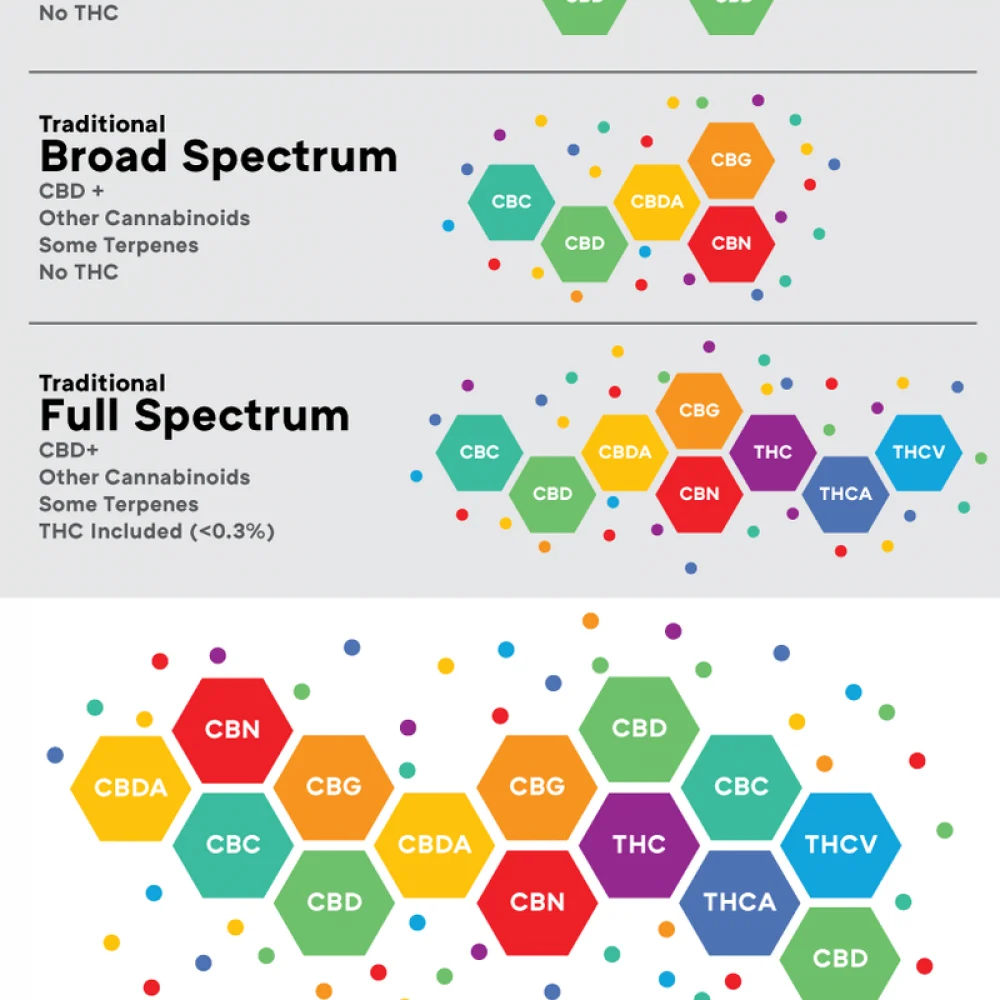 Spectrums-Chart3_1617070835 Spectrums-Chart3_1617070835